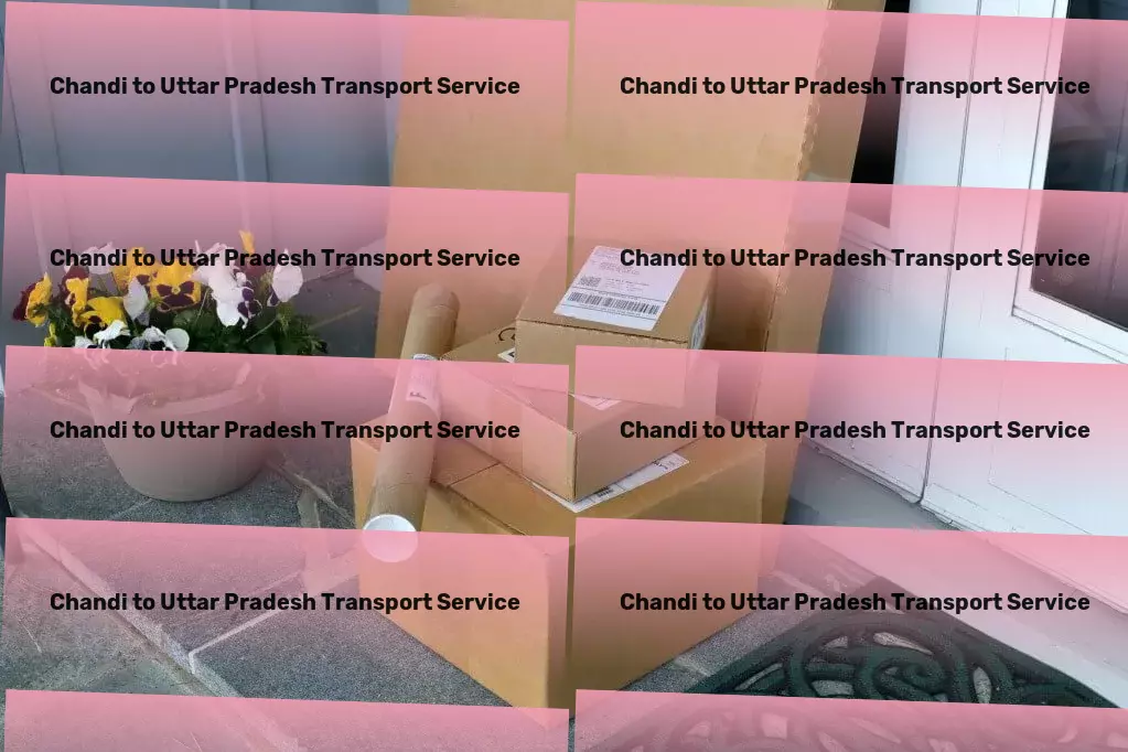 Chandi to Uttar Pradesh Transport Discover the joy of reading with our book recommendations! - Nationwide cargo moving